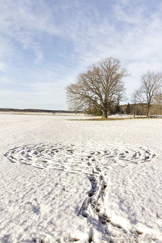 001_MG_1773 as Smart Object-1